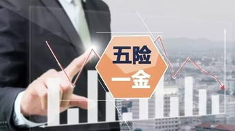 深圳社保代理 选择值得信赖的代理公司，探秘投资管理咨询服务红利